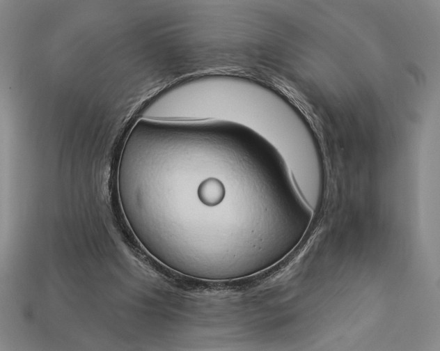 X0000112890201200909111511