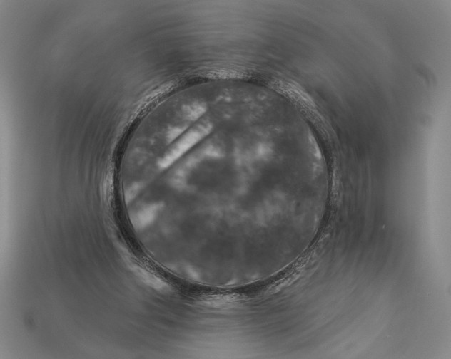 X0000112890202200909111511