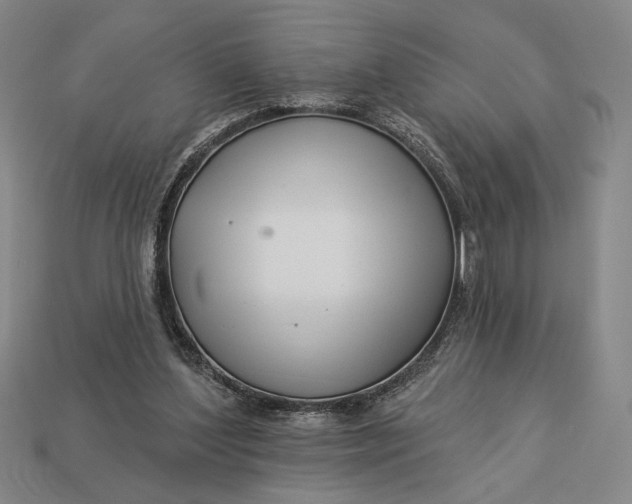 X0000112890204200909111511