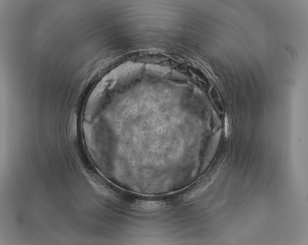 X0000112890205200909111511