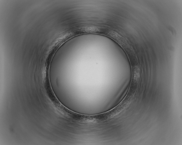 X0000112890206200909111510
