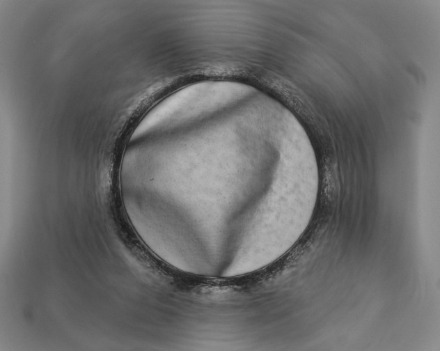 X0000112890208200909111510
