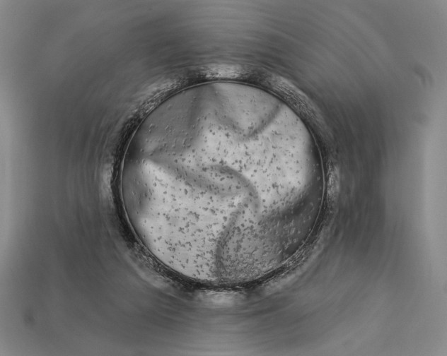 X0000112890209200909111510