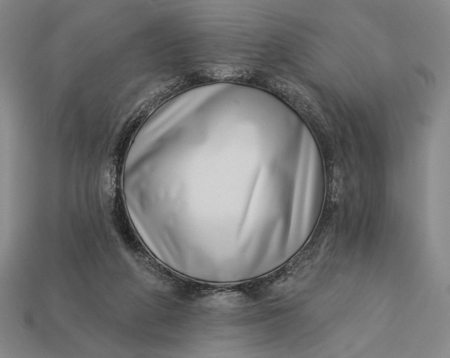 X0000112890210200909111510