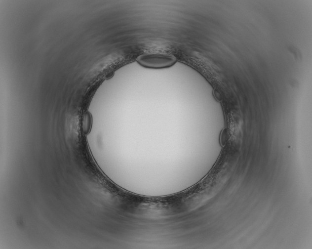 X0000112890211200909111510