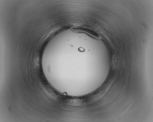 X0000112890212200909111510