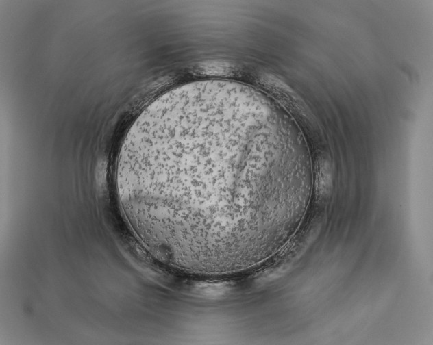 X0000112890213200909111510