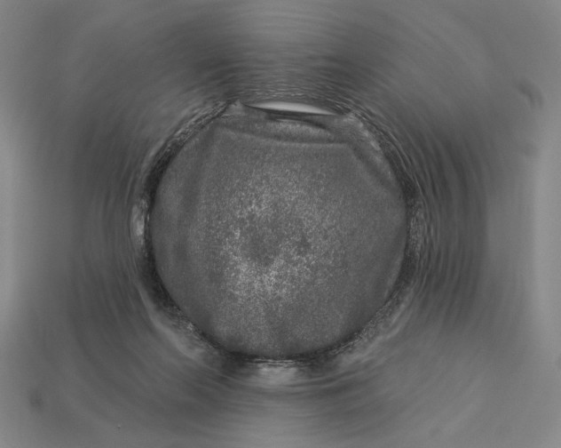 X0000112890214200909111510