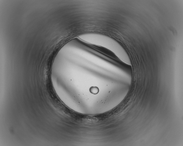 X0000112890215200909111510