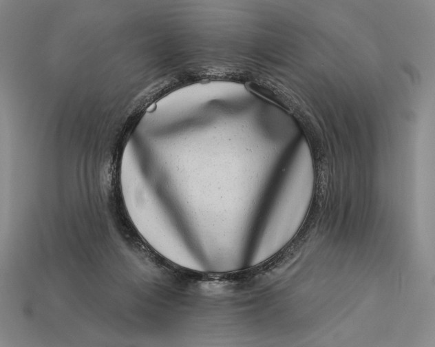 X0000112890216200909111510