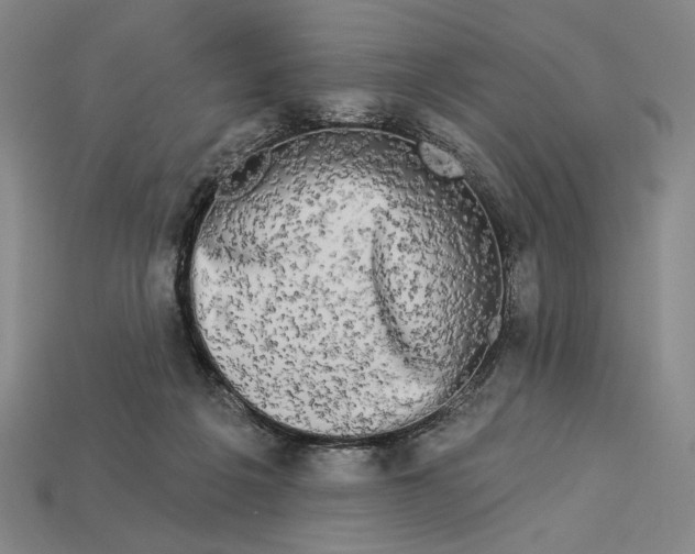 X0000112890217200909111510