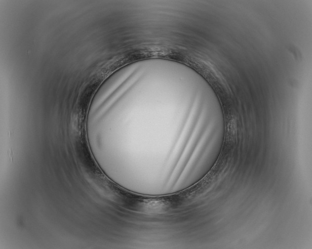 X0000112890218200909111510