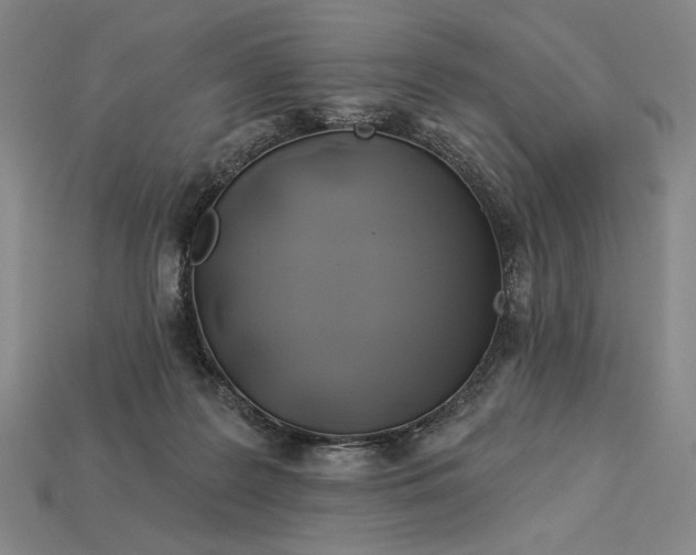 X0000112890219200909111510