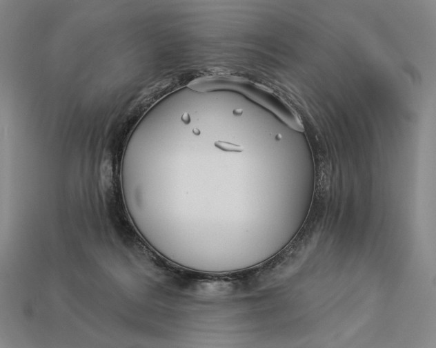 X0000112890220200909111510