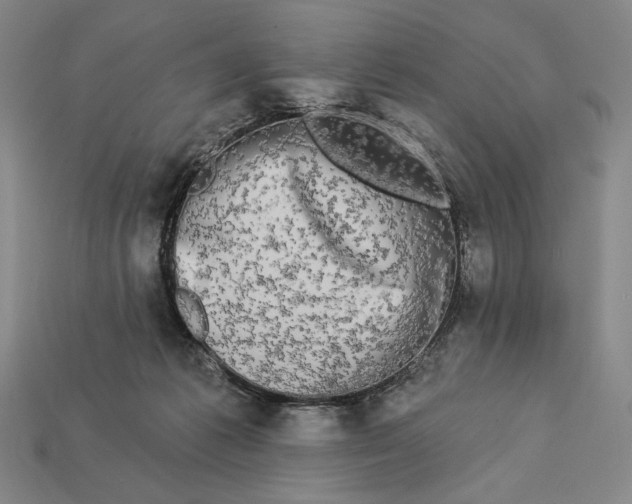 X0000112890221200909111510