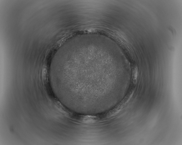 X0000112890222200909111510