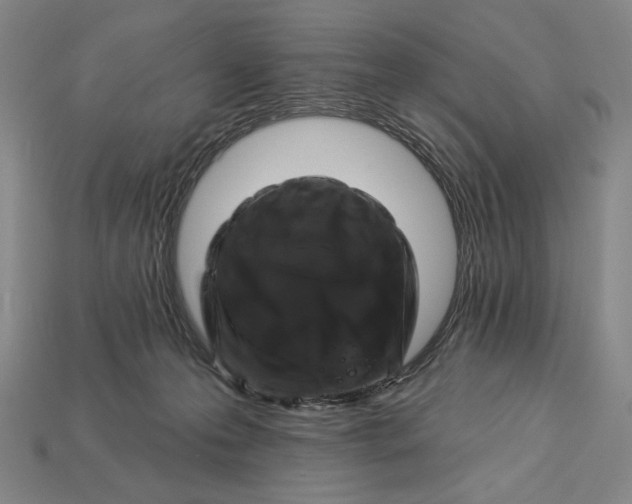 X0000112890223200909111510