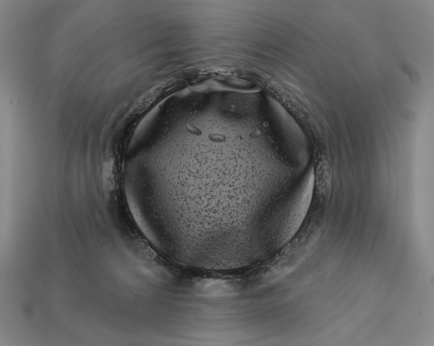 X0000112890224200909111510