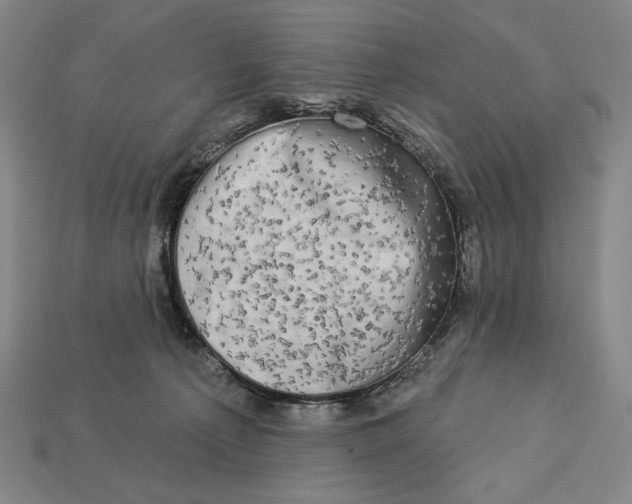 X0000112890225200909111510