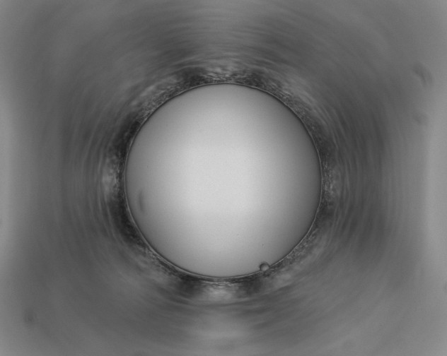 X0000112890226200909111510