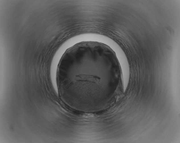 X0000112890227200909111510
