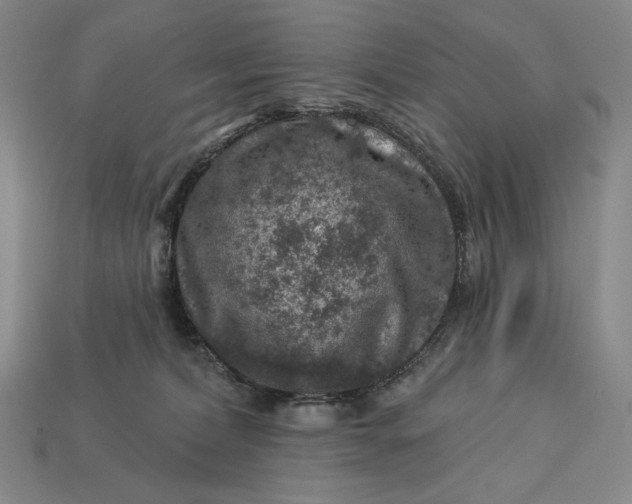 X0000112890228200909111510
