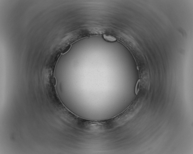 X0000112890229200909111510