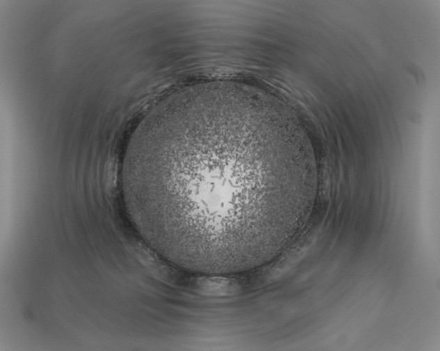 X0000112890230200909111510