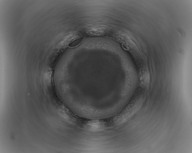 X0000112890231200909111510