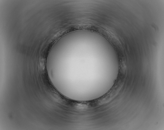 X0000112890232200909111510