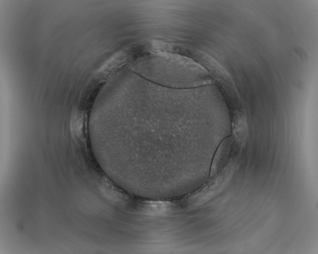 X0000112890233200909111510