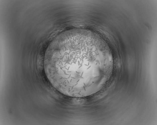 X0000112890234200909111510