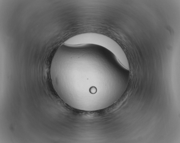 X0000112890235200909111510