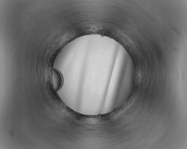 X0000112890236200909111510