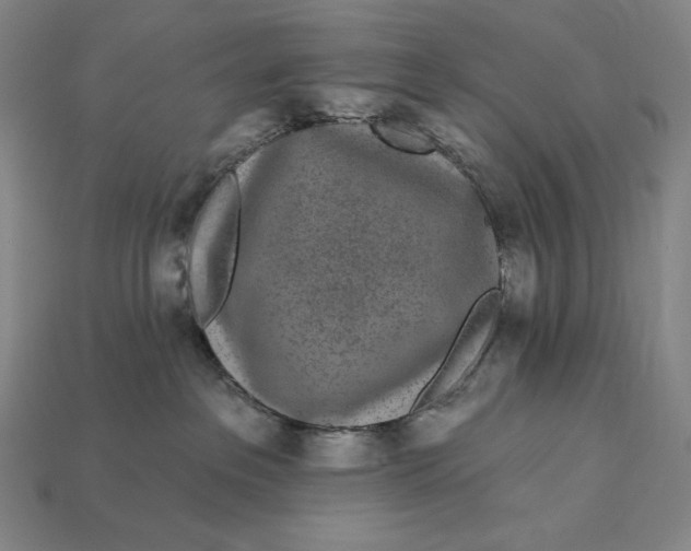 X0000112890237200909111510