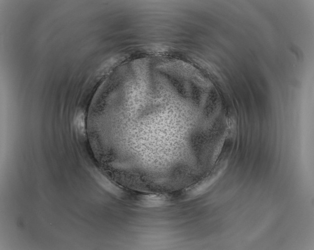 X0000112890238200909111510