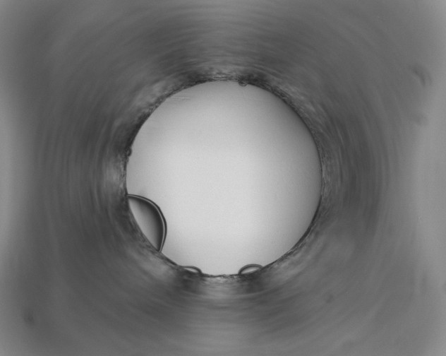 X0000112890240200909111510
