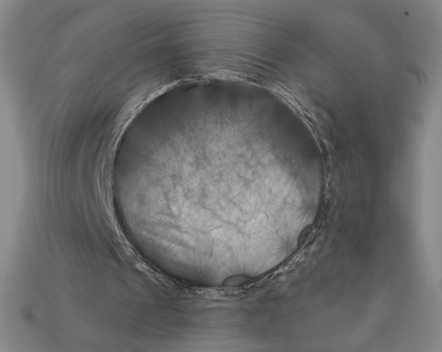 X0000112890241200909111509
