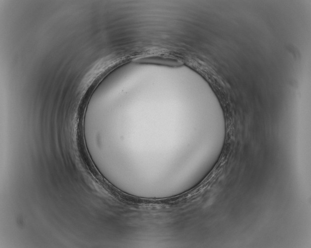 X0000112890242200909111509