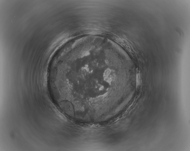 X0000112890243200909111509