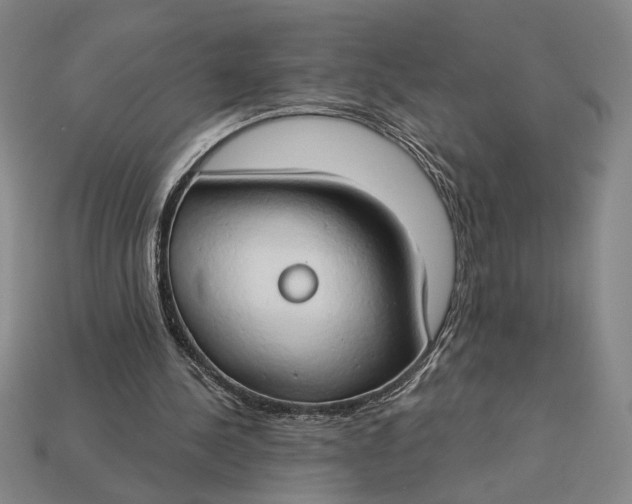 X0000112890244200909111509