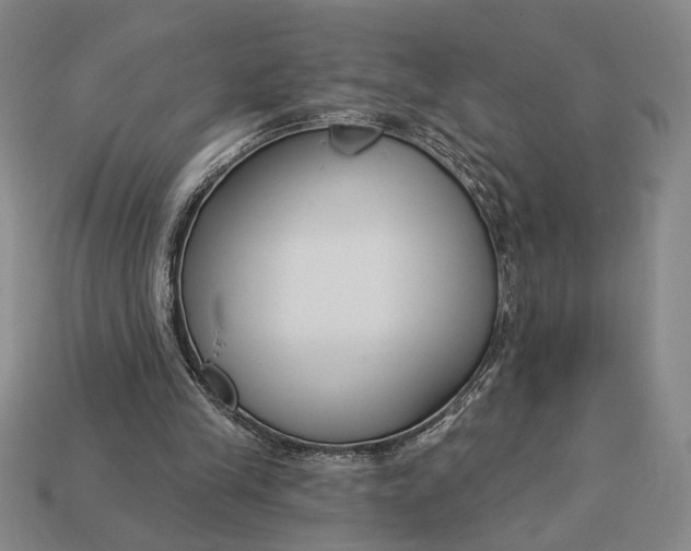 X0000112890245200909111509