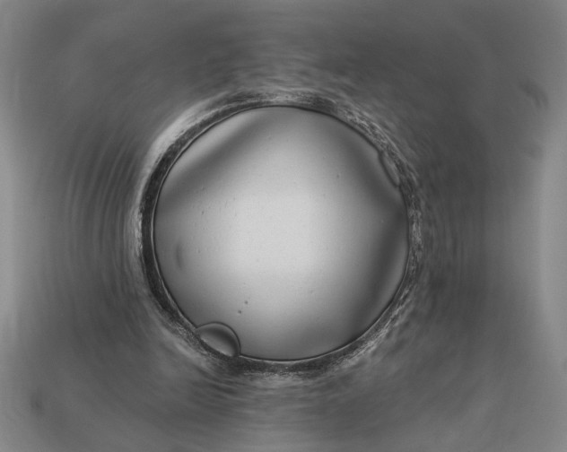 X0000112890246200909111509