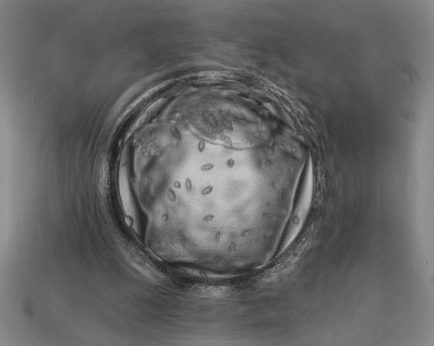 X0000112890247200909111509