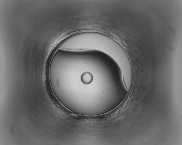 X0000112890248200909111509