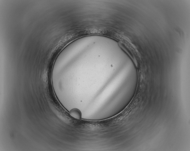 X0000112890250200909111509