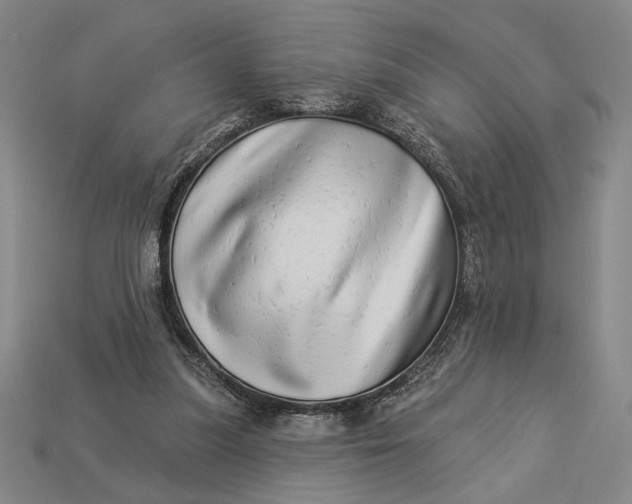 X0000112890251200909111509