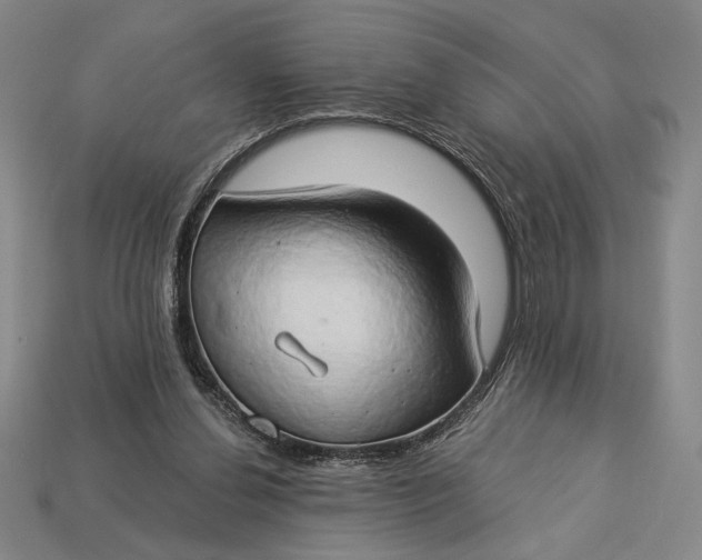 X0000112890252200909111509