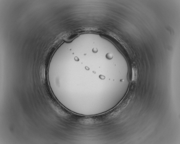 X0000112890253200909111509
