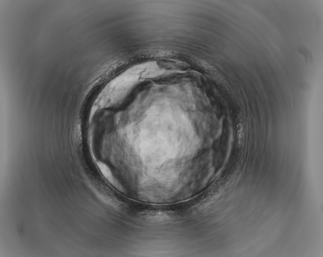 X0000112890254200909111509